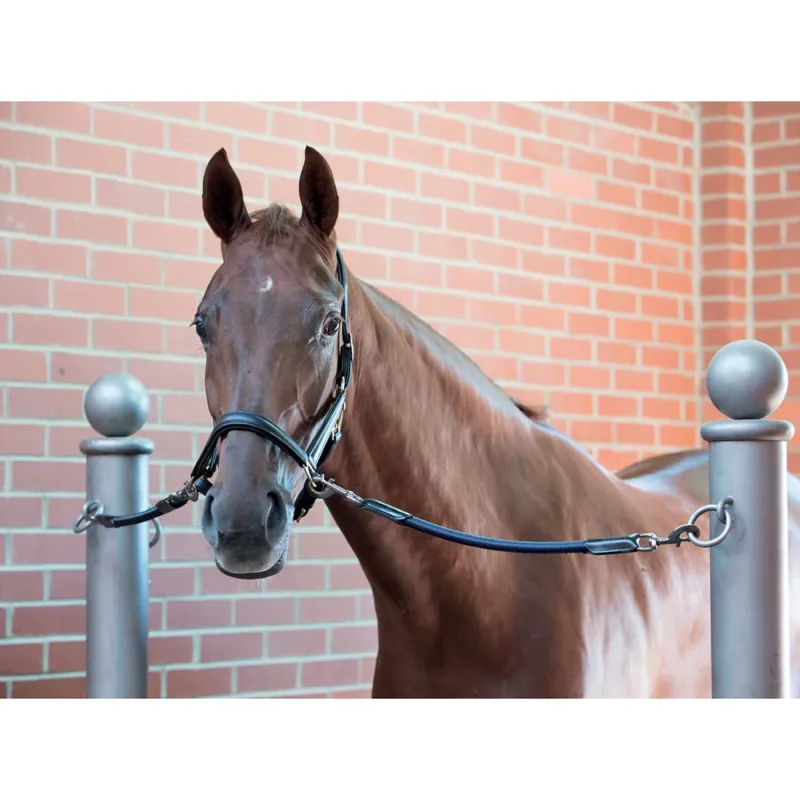 LeMieux Bungie Tie Black-1